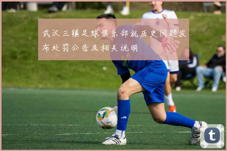 武汉三镇足球俱乐部就历史问题发布处罚公告及相关说明