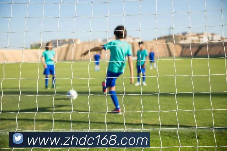 华体会官网入口发展历程